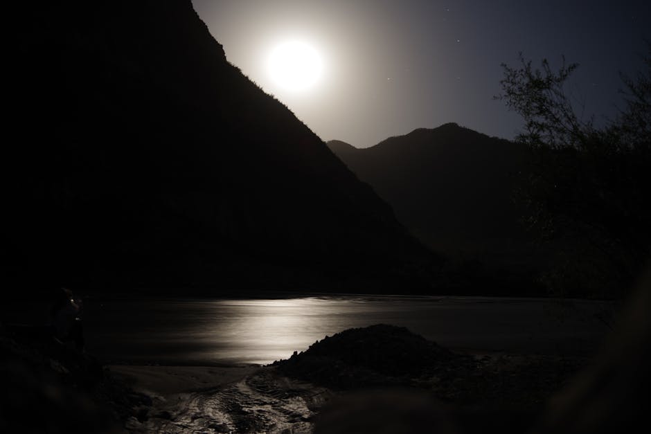 pexels-photo-8992528