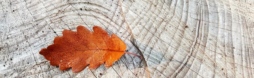 c4084315854e82da4d253d62106fdf53